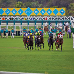 72 Reasons Why We Love the Del Mar Races